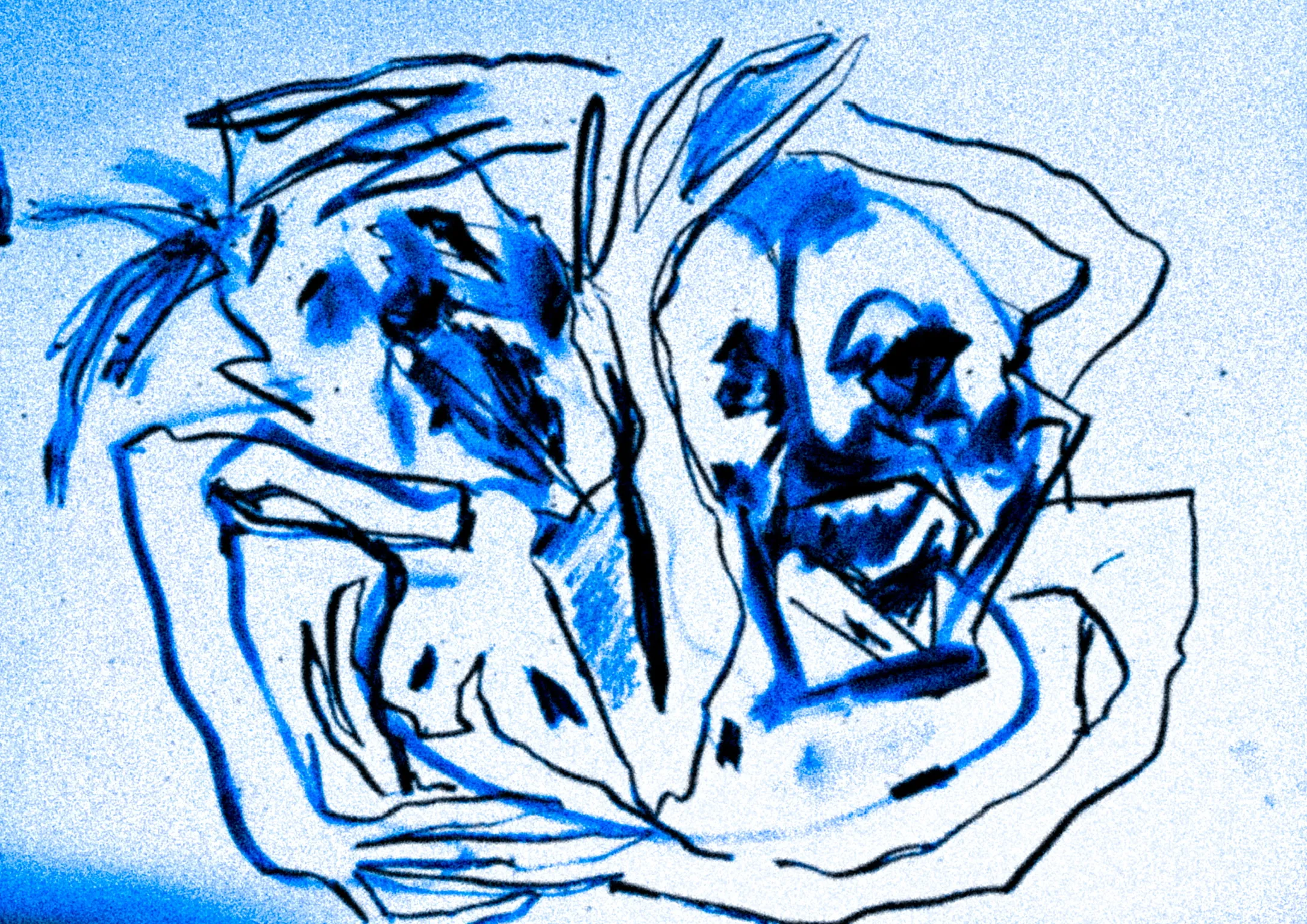 Die Arbeit „Zwei Köpfe“ in Tusche auf Papier, Querformat.